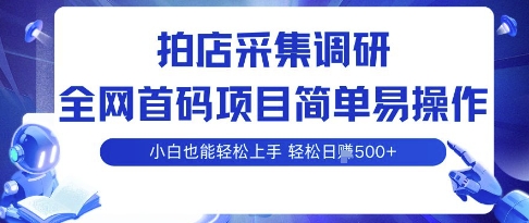 拍店采集调研，全网首码项目，简单易操作， 小白也能轻松上手，多账号操作，轻松日入5张【揭秘】-顺彩轻创-资源网-最新项目分享网