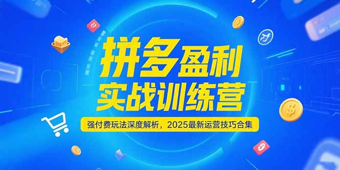 拼多多盈利实战训练营，强付费玩法深度解析，2025运营技巧合集-更新6月-顺彩轻创-资源网-最新项目分享网