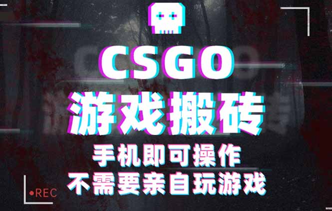 CSGO游戏挂机捡漏，单日扫货500+，年底小高峰上车可吃肉，手机即可操作…-顺彩轻创-资源网-最新项目分享网