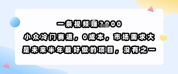 一条视频挣1k，小众冷门赛道，0成本，市场需求大，是未来半年最好做的项目，没有之一-顺彩轻创-资源网-最新项目分享网