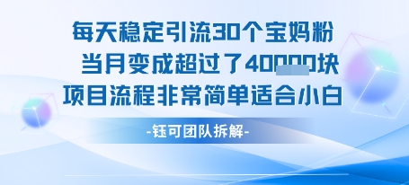 每天稳定引流30个人 当月变成超过了4个W项目流程非常简单适合小白-顺彩轻创-资源网-最新项目分享网