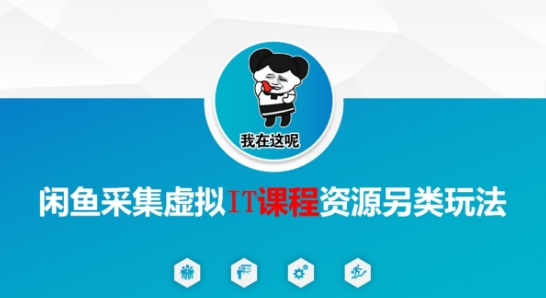 闲鱼采集虚拟IT课程资源另类玩法，干货满满-顺彩轻创-资源网-最新项目分享网