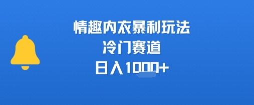 情趣内衣暴利玩法，冷门赛道，日入1k+-顺彩轻创-资源网-最新项目分享网