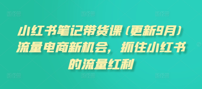 小红书笔记带货课(更新25年5月)流量电商新机会，抓住小红书的流量红利-创新社-资源网-最新项目分享网站-顺彩轻创-资源网-最新项目分享网