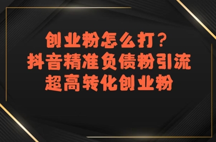 创业粉怎么打？抖音精准负债粉引流，超高转化创业粉-顺彩轻创-资源网-最新项目分享网