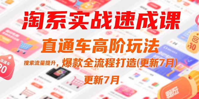 淘系实战速成课，直通车高阶玩法，搜索流量提升，爆款全流程打造(更新7月-顺彩轻创-资源网-最新项目分享网