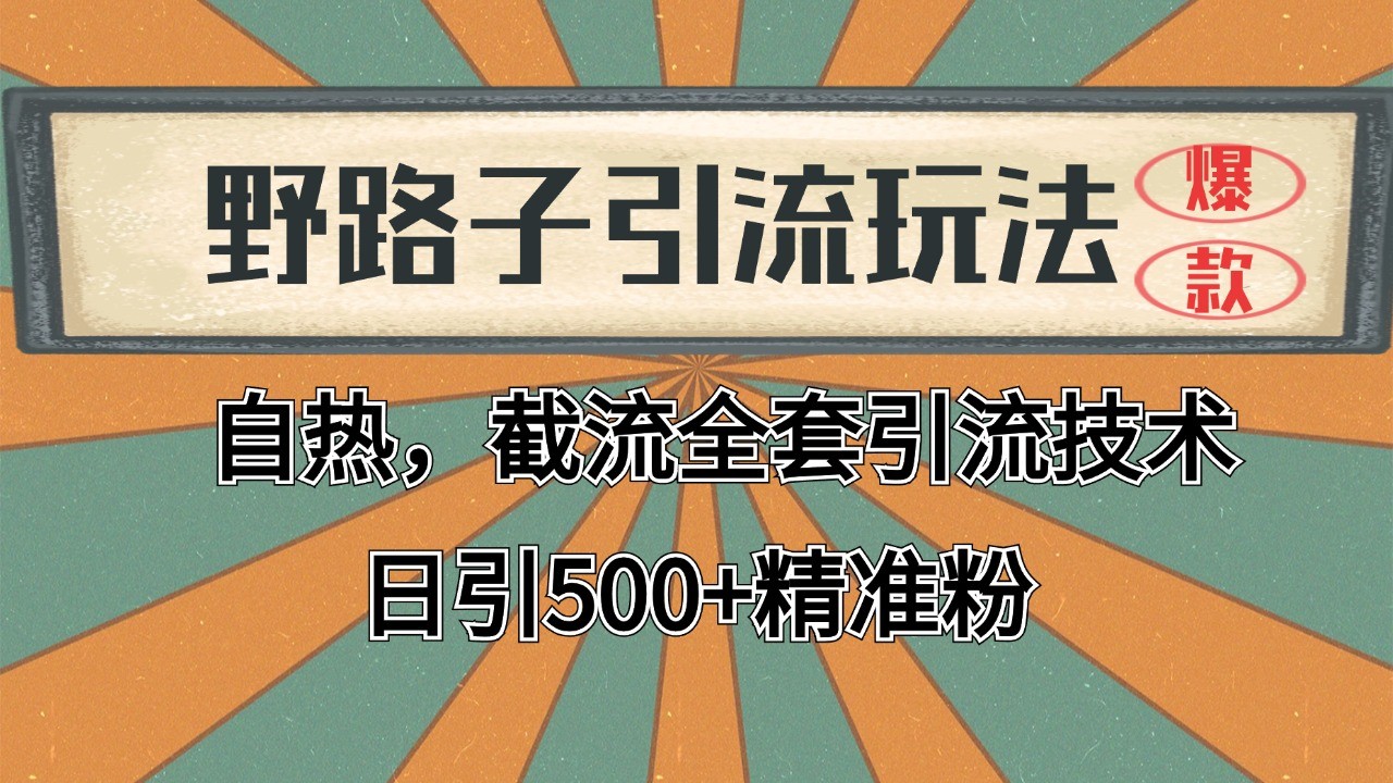 2024首发野路子引流玩法截流自热全平台打法，全自动引流【日引2000+精准客户】-顺彩轻创-资源网-最新项目分享网