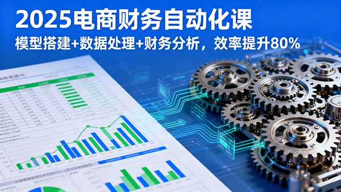 2025电商财务自动化课，模型搭建+数据处理+财务分析，效率提升80%-顺彩轻创-资源网-最新项目分享网