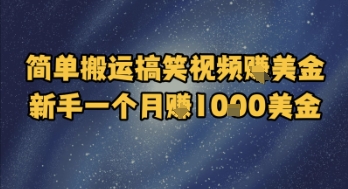 简单搬运搞笑视频挣美金，新手一个月入1k美金-顺彩轻创-资源网-最新项目分享网