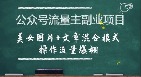 公众号流量主副业项目，美女图片+文章混合模式操作流量爆棚-顺彩轻创-资源网-最新项目分享网