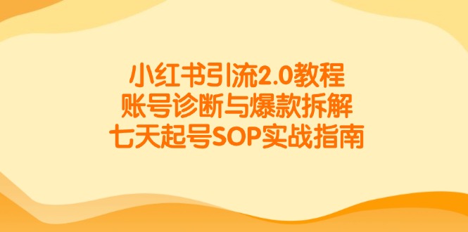 小红书引流2.0教程，账号诊断与爆款拆解，七天起号SOP实战指南-顺彩轻创-资源网-最新项目分享网