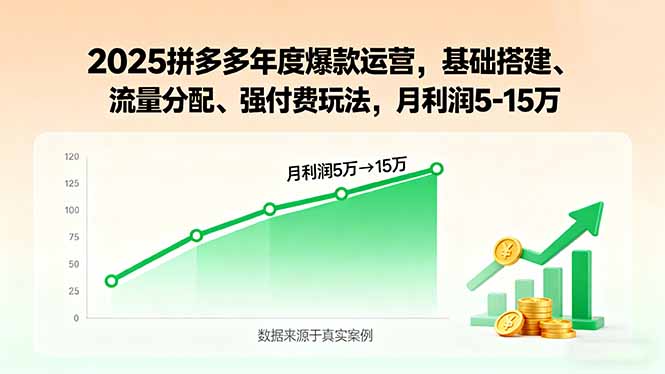 2025拼多多年度爆款运营，基础搭建、流量分配、强付费玩法，月利润5-15万-顺彩轻创-资源网-最新项目分享网