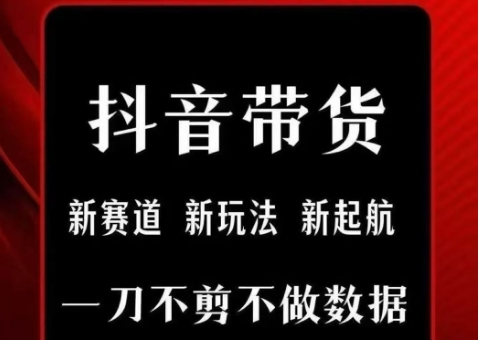 抖音短视频一刀不剪带货，不剪辑，不直播，每天发个视频，等着出单获取带货佣金-顺彩轻创-资源网-最新项目分享网