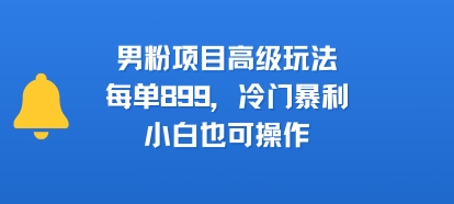 男粉项目高级玩法，每单899，冷门暴利，小白也可操作-顺彩轻创-资源网-最新项目分享网