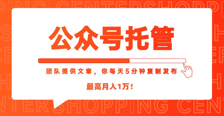 【公众号托管 】我提供文章，你每天５分钟复制发布，最高月入1W-顺彩轻创-资源网-最新项目分享网