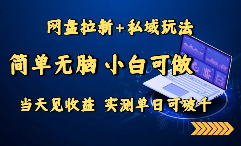 网盘拉新+私域玩法，简单无脑，小白可做，当天见收益，实测单日可破千-顺彩轻创-资源网-最新项目分享网