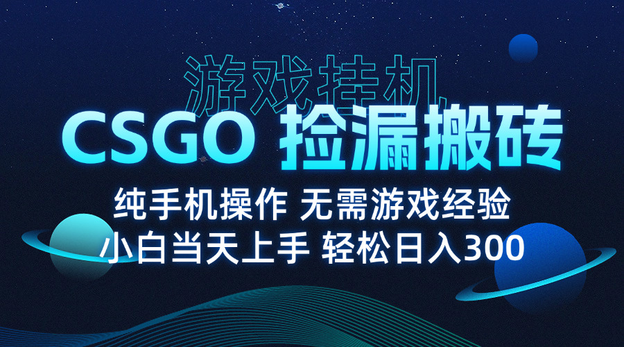 8月最新游戏搬砖，CSGO纯挂机，不需要玩游戏，实现真挂机，月入1W+-顺彩轻创-资源网-最新项目分享网