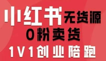 小红书无货源0粉电商课，开店准备、选品策略、笔记撰写、视频剪辑、数据分析、账号打造、资料文档-顺彩轻创-资源网-最新项目分享网