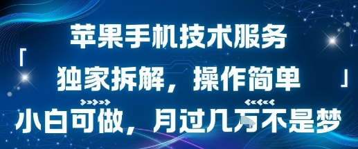 苹果手机技术服务，独家拆解，操作简单，小白可做，月过1W不是梦-顺彩轻创-资源网-最新项目分享网
