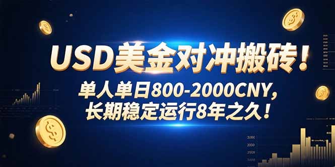 USD美金对冲搬砖!单人单日800-2000CNY，长期稳定运行8年之久!-顺彩轻创-资源网-最新项目分享网
