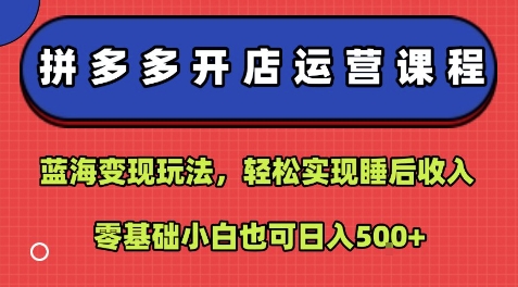 拼多多开店运营课程：蓝海变现玩法，轻松实现睡后收入，零基础小白也可日入5张-顺彩轻创-资源网-最新项目分享网