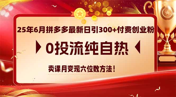 25年6月拼多多最新日引300+付费创业粉，0投流纯自热 卖课月变现六位数方法-顺彩轻创-资源网-最新项目分享网