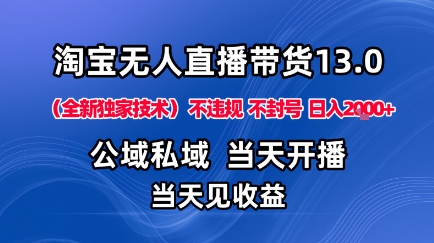 淘宝无人直播13.0，公域私域技术，不封号，不违规布局下半年旺季赛道，日入1K+(独家技术)【揭秘】-顺彩轻创-资源网-最新项目分享网