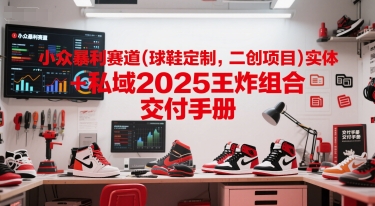 小众暴利赛道(球鞋定制，二创项目)实体+私域2025王炸组合 交付手册-顺彩轻创-资源网-最新项目分享网