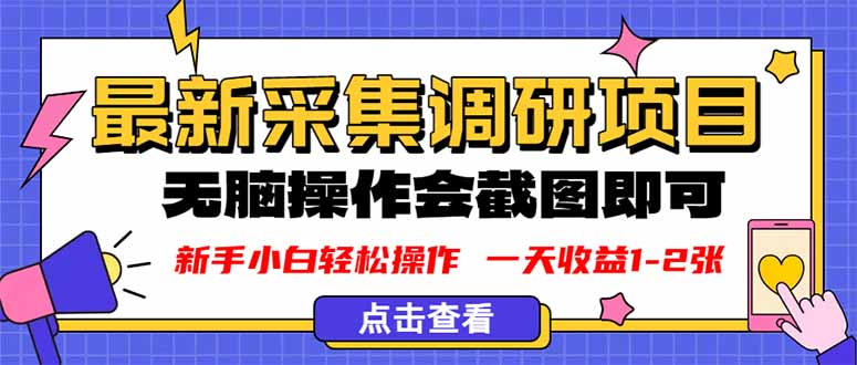 新版采集调研项目，截图上传即可，无脑操作，日收益1-2张-顺彩轻创-资源网-最新项目分享网