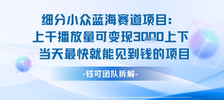 小众蓝海赛道项目：当天变现1k+适合新手操作 +适合长期玩-顺彩轻创-资源网-最新项目分享网