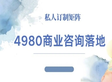4980商业咨询师落地课程-ip运营高客单教程-顺彩轻创-资源网-最新项目分享网